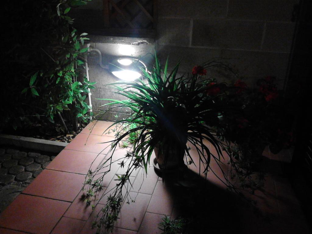 Catherina