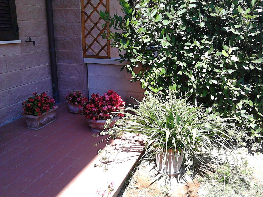 Apartment Catherina Ponsacco